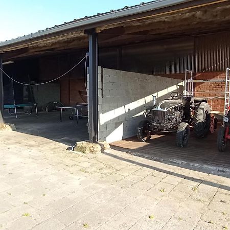 Natuur-Like Glamping In Bosland NeerNeerpelt Zewnętrze zdjęcie