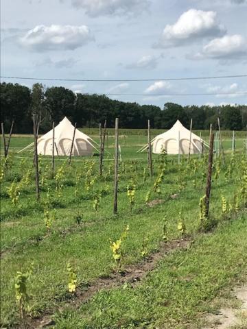 Natuur-Like Glamping In Bosland NeerNeerpelt Zewnętrze zdjęcie
