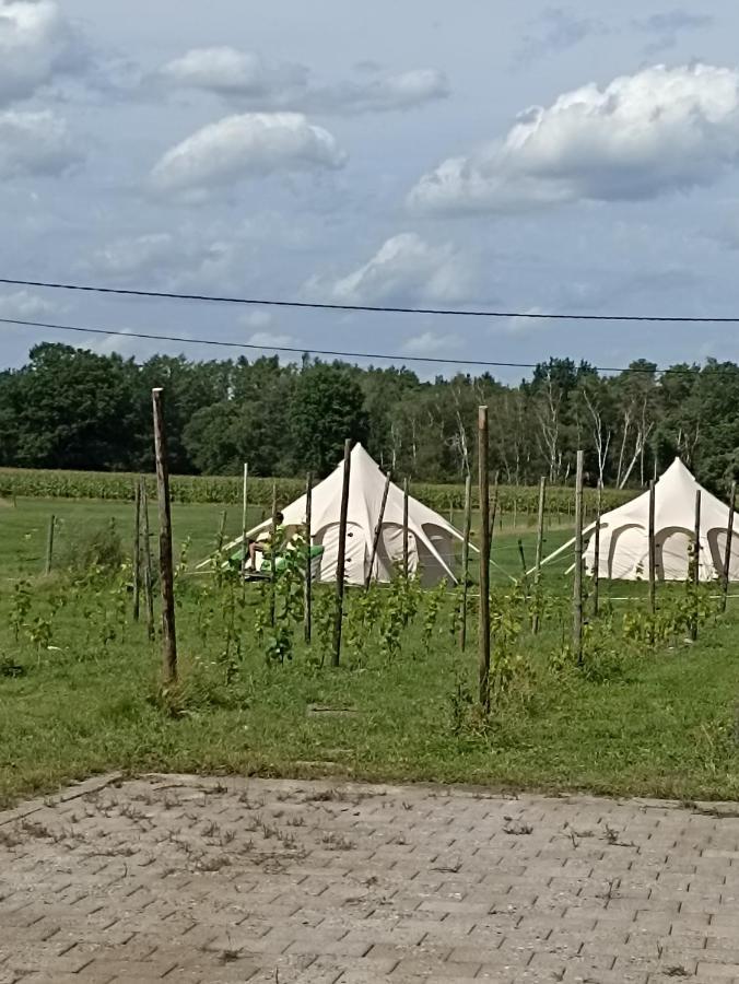 Natuur-Like Glamping In Bosland NeerNeerpelt Zewnętrze zdjęcie
