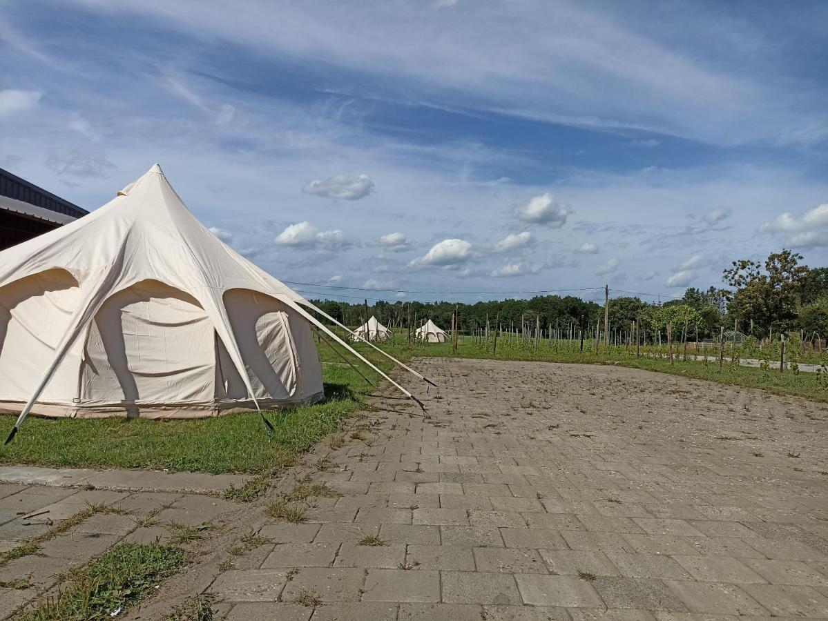 Natuur-Like Glamping In Bosland NeerNeerpelt Zewnętrze zdjęcie