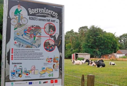 Natuur-Like Glamping In Bosland NeerNeerpelt Zewnętrze zdjęcie